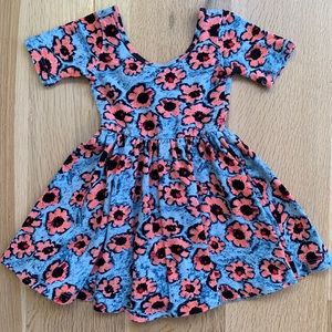 Alice and Ames swing dress